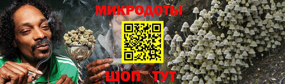 Ленинск-Кузнецкий  Псилоцибиновые грибы Cubensis  Вход с VPN 